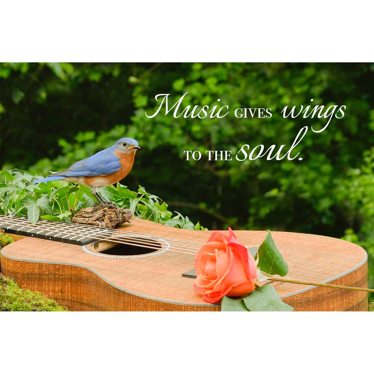 Music Gives Wings (guitar)