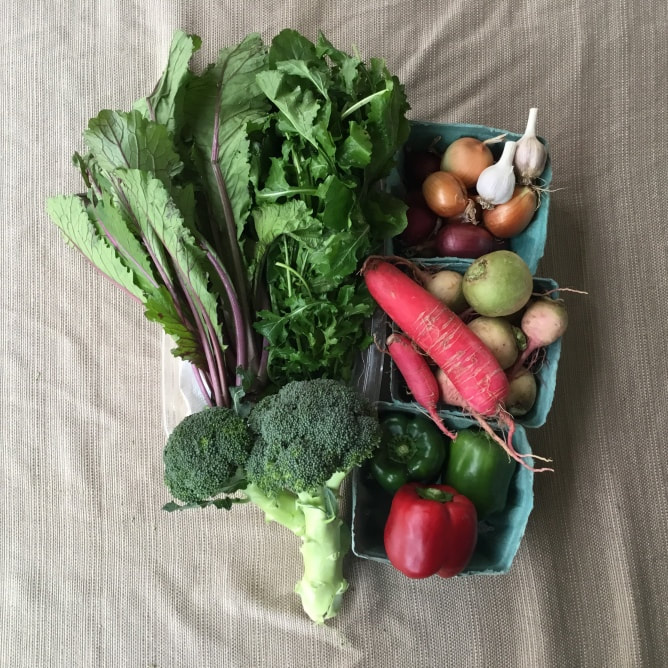 CSA EXT - 4wks Nov & Dec