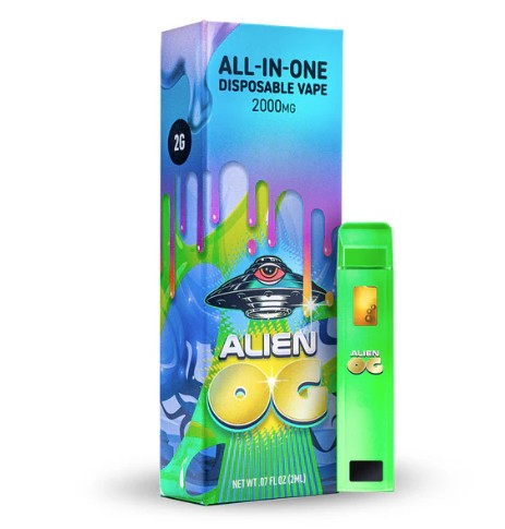 Hit Stick 2G Disposable - Regular