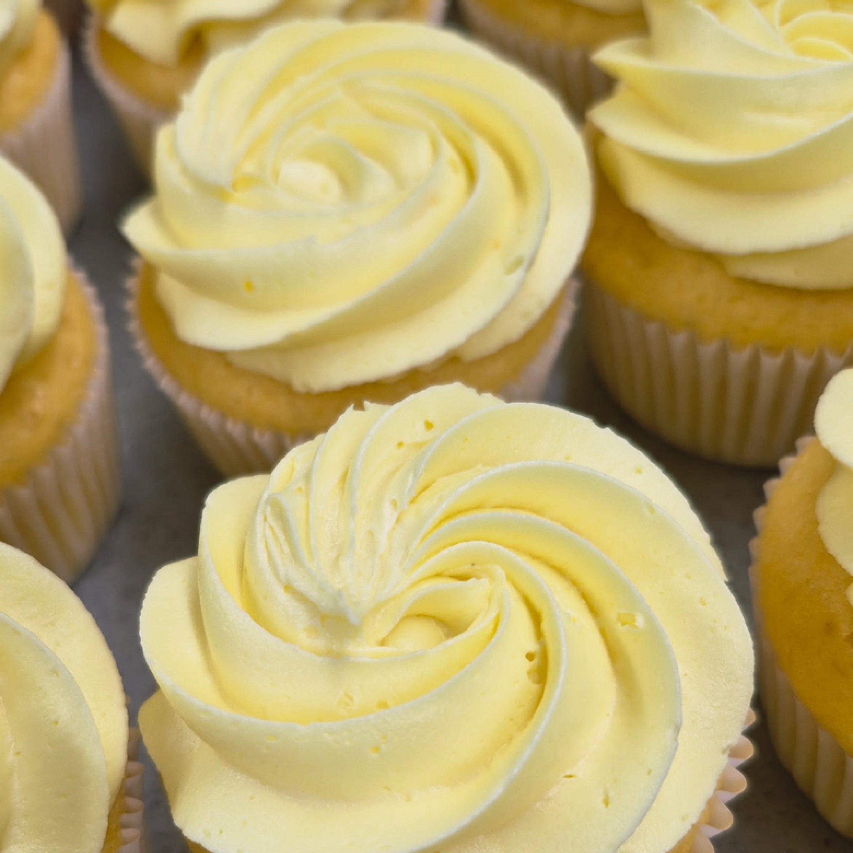Single Classic Lemon Cupcake