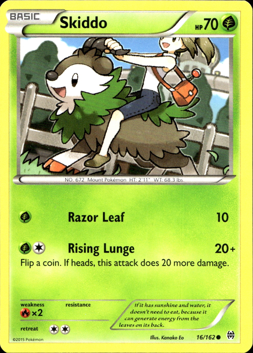 Skiddo - XY8 16