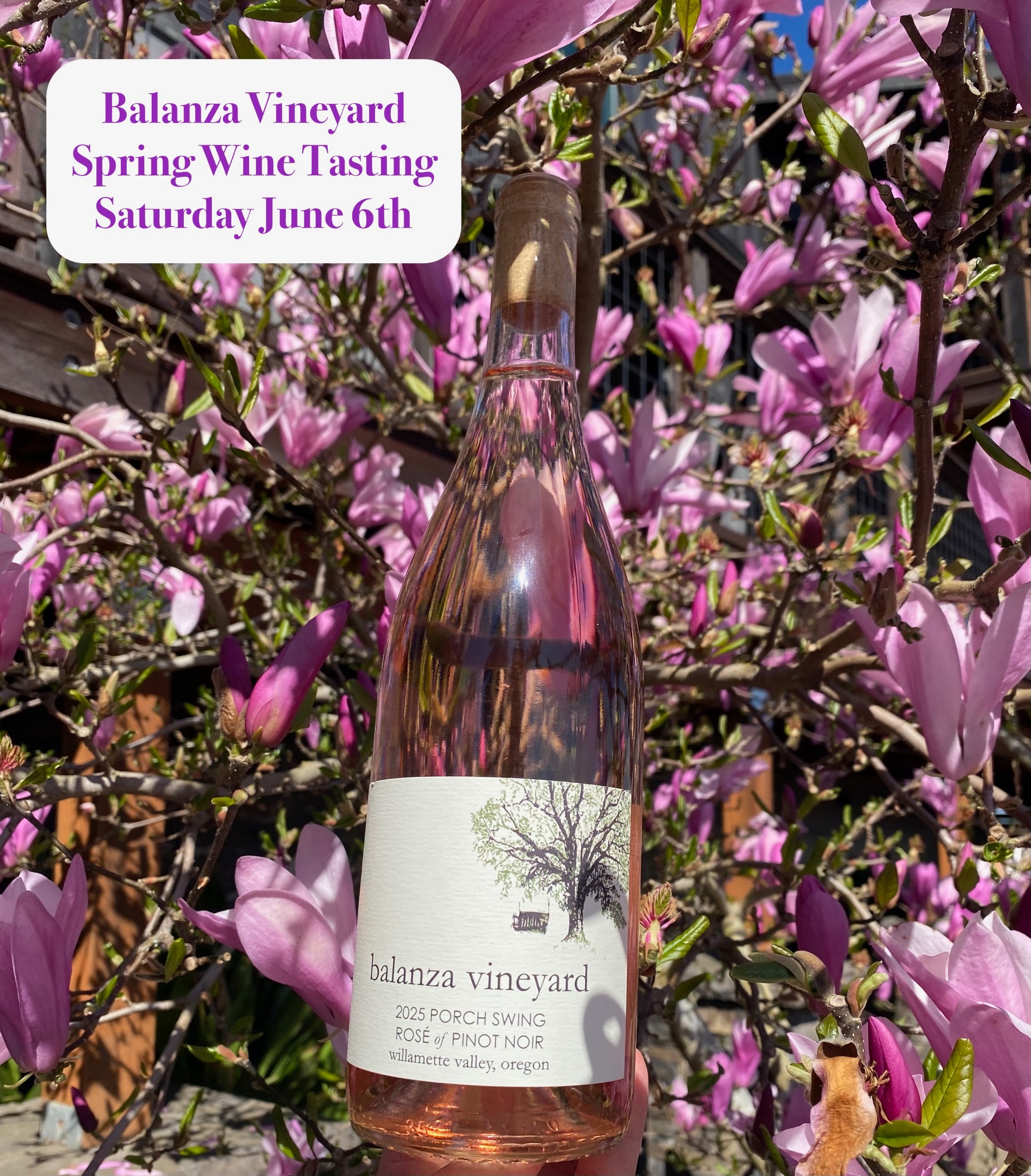 Spring Tasting June 6th