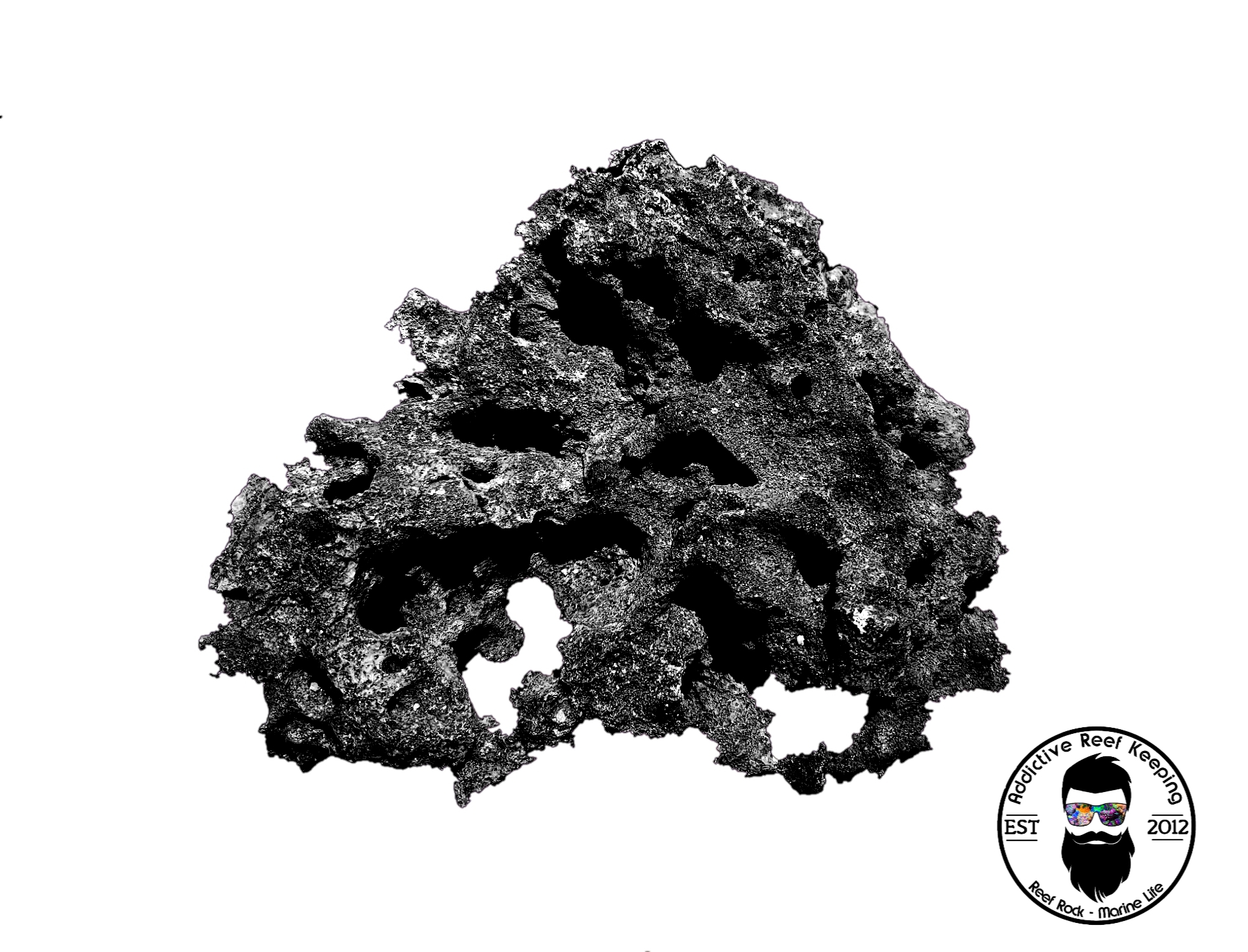 ARK Black Reef Rock- PICK SIZE AND WEIGHT