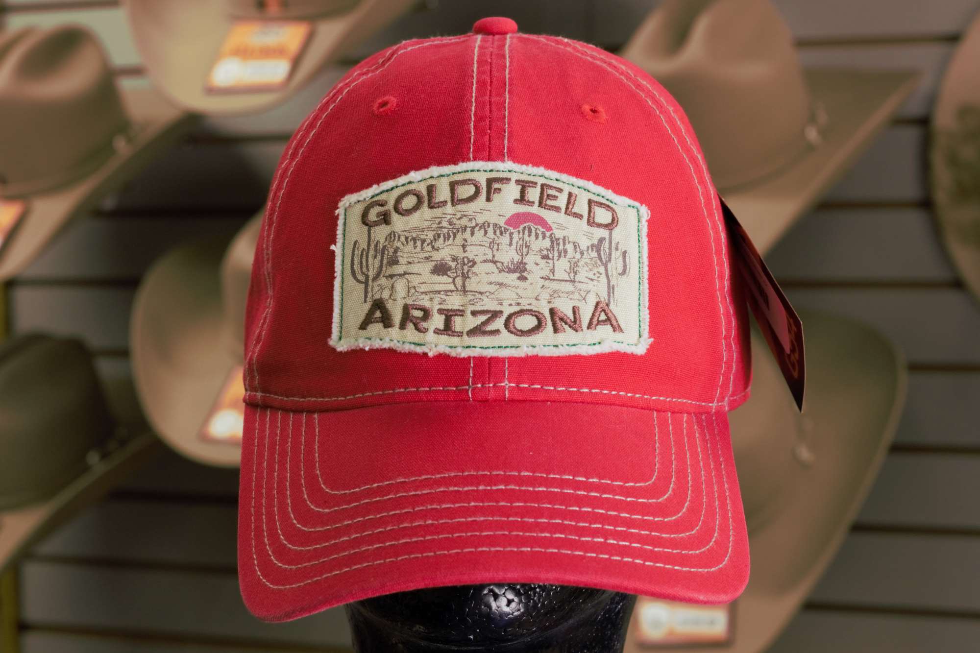 Cap-Curious-Goldfield AZ
