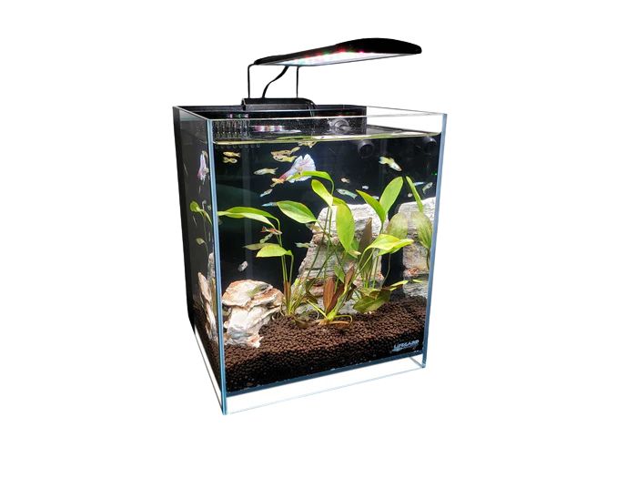 Lifegard Full Spectrum 5” LED with Mounting Brackets