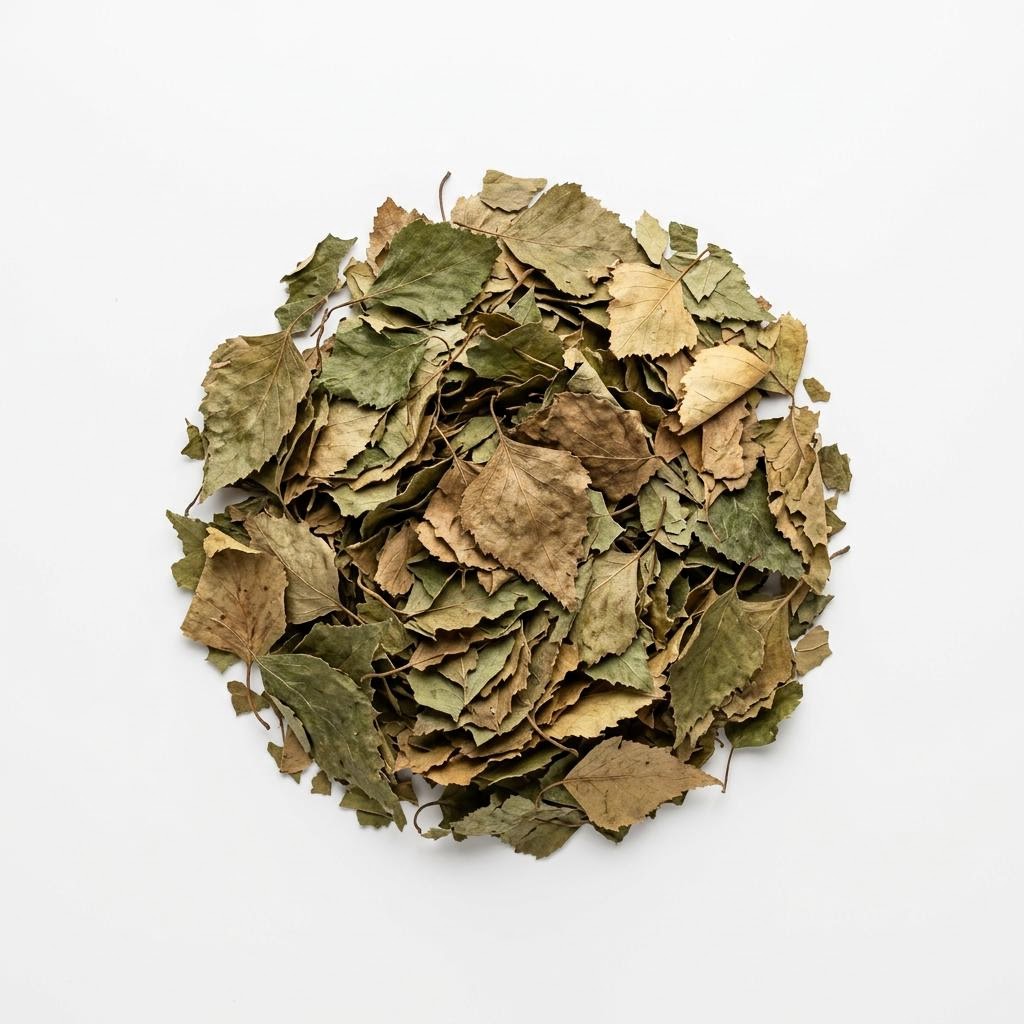Birch Leaf