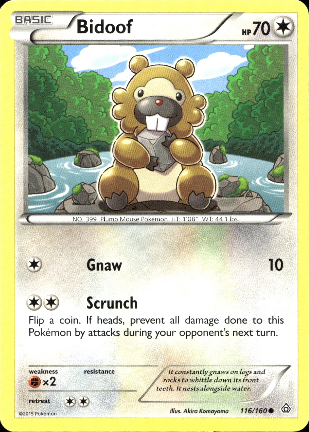 Bidoof - XY5 116
