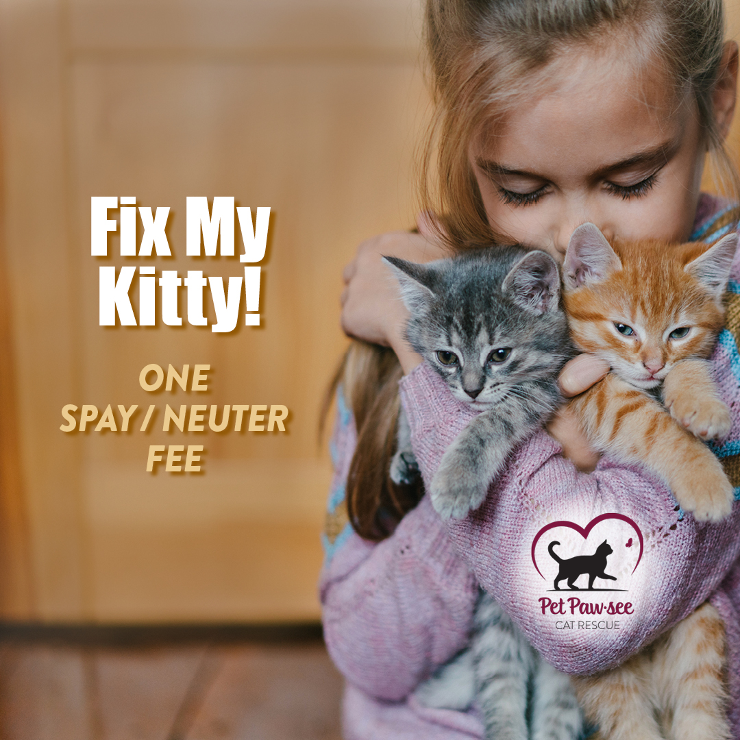 Fix My Kitty!