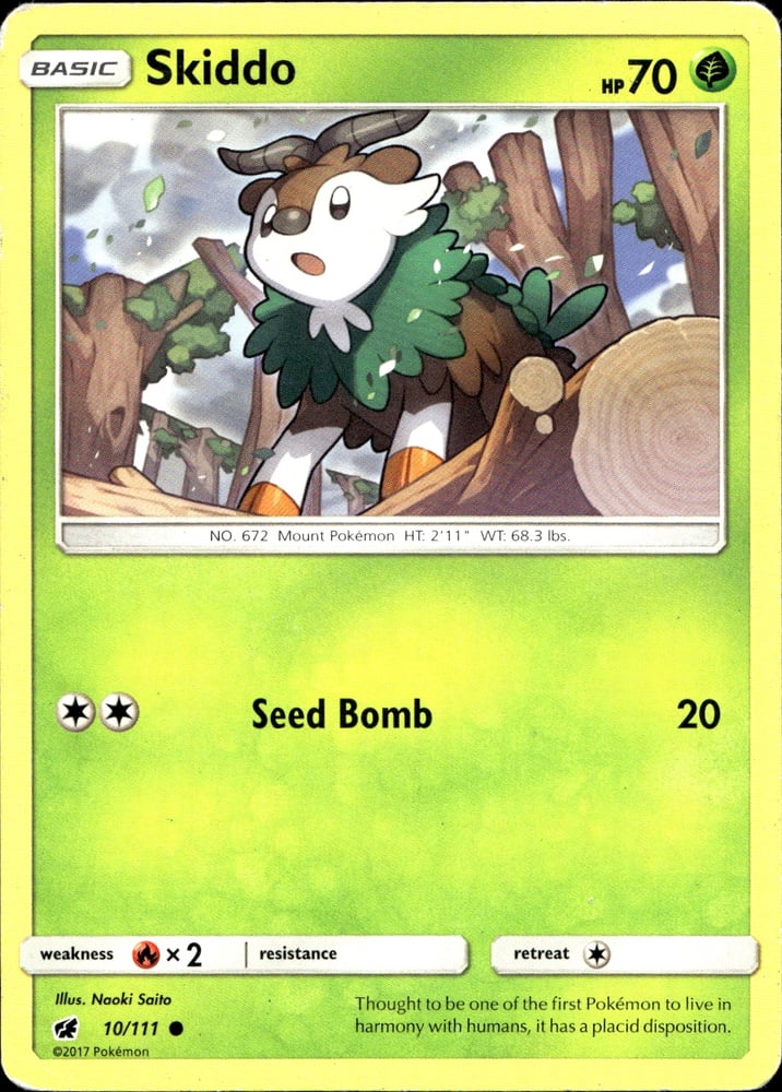 Skiddo - SM4 10/111