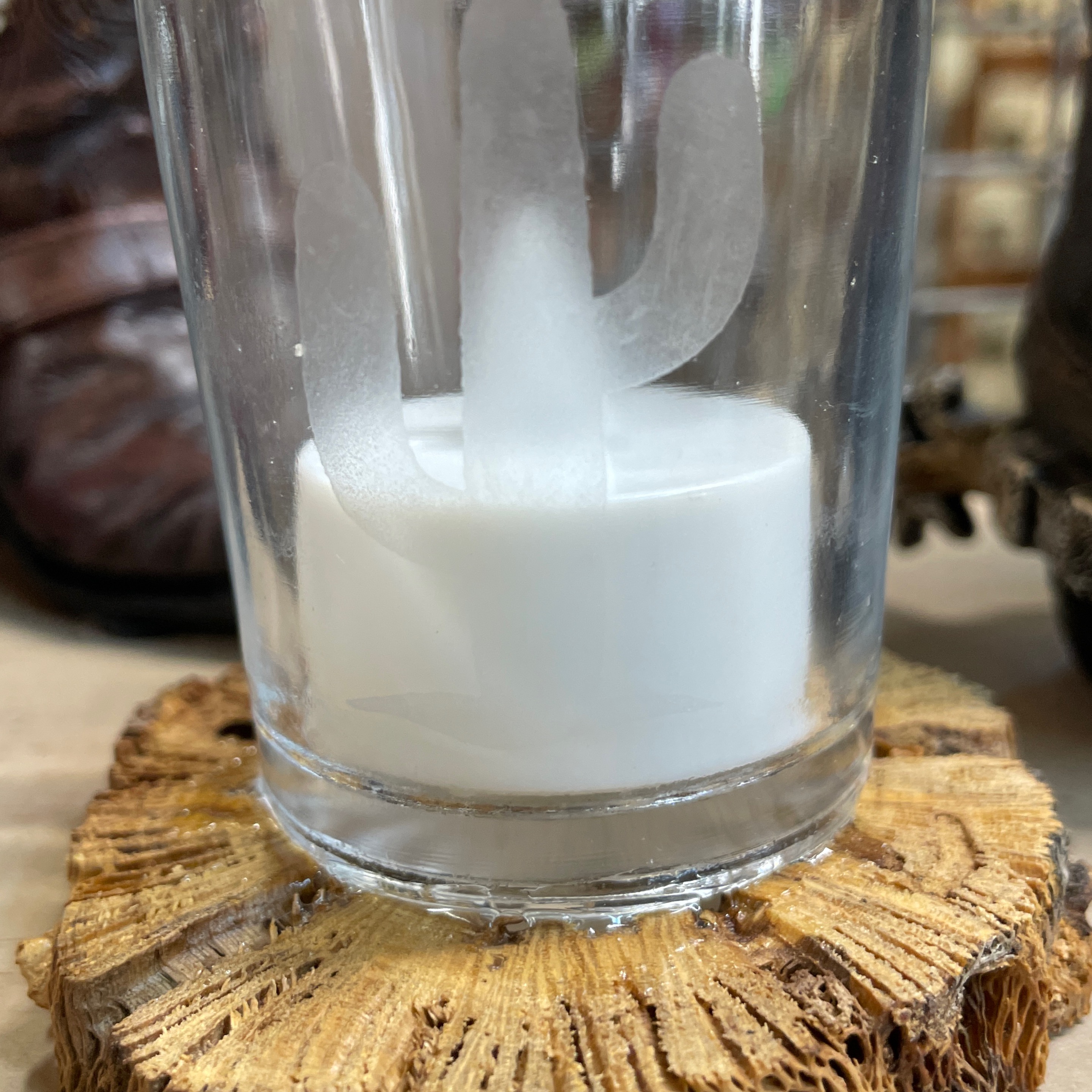 Cholla candle with saguaro