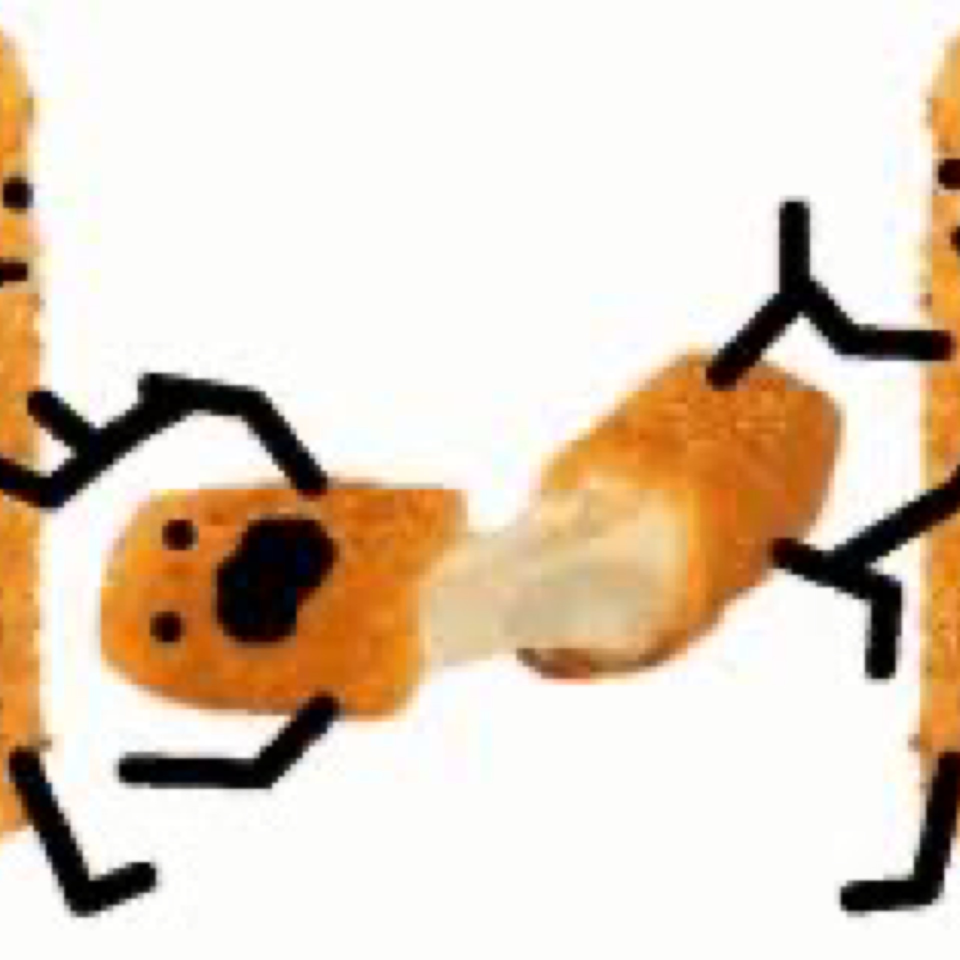 Mozz sticks