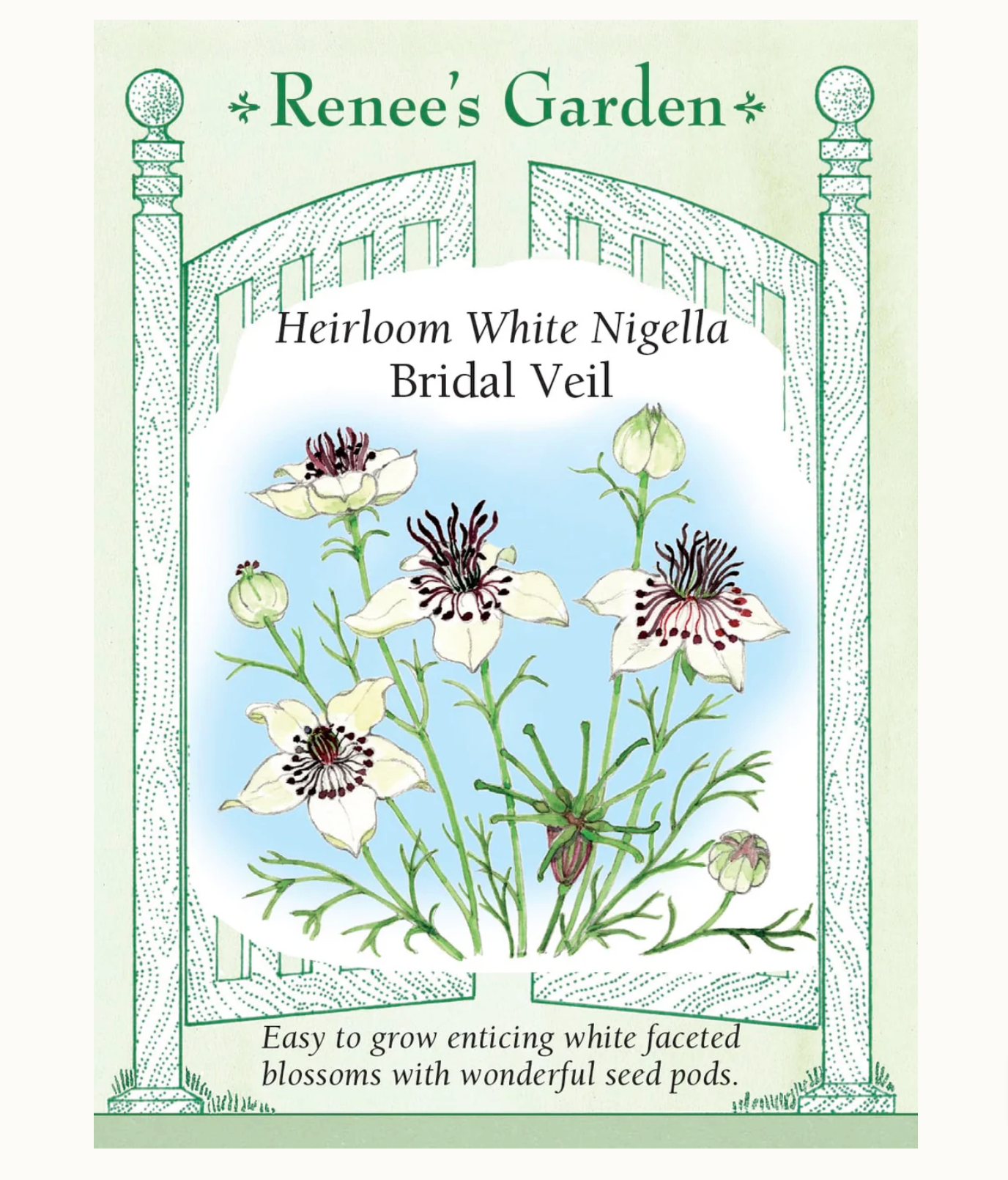 Renee's Garden | Heirloom White Nigella Bridal Veil
