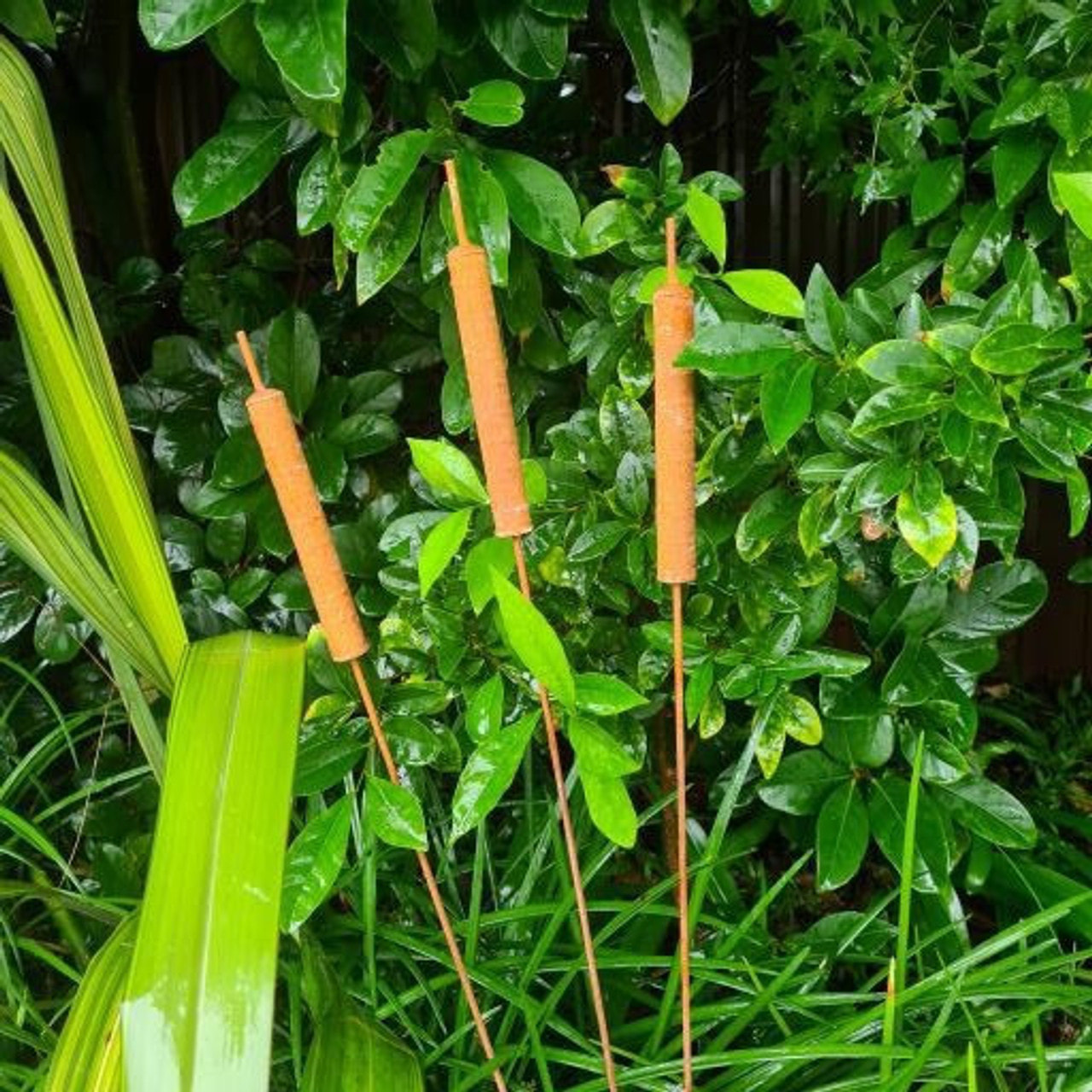 Bulrush Stake