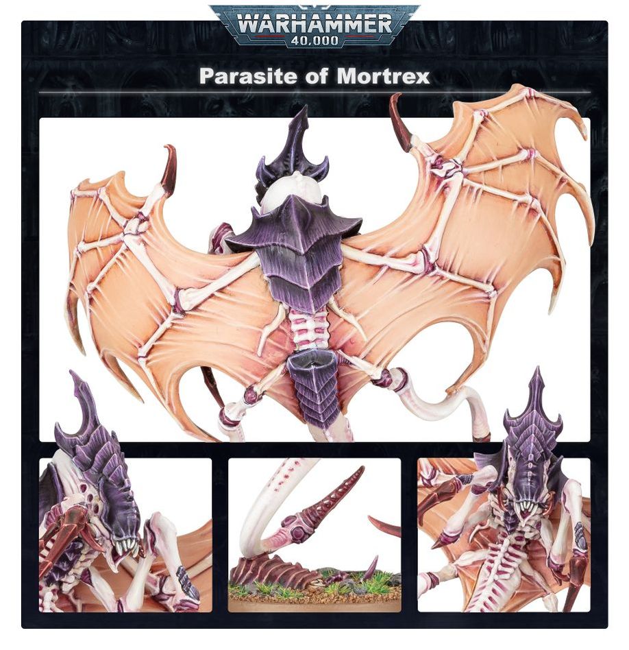 Parasite Of Mortrex thumbnail 3