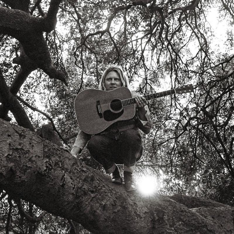 Ty Segall - Hello, Hi by Unknown Artist - View 1
