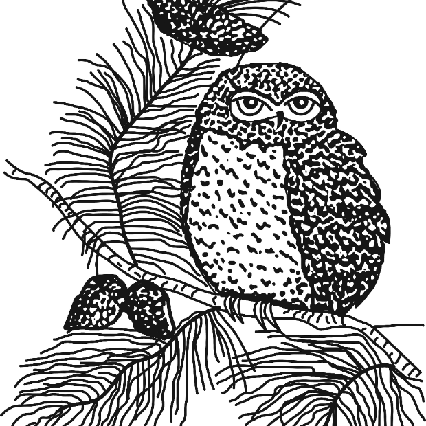 Southern Sleep Society Conference