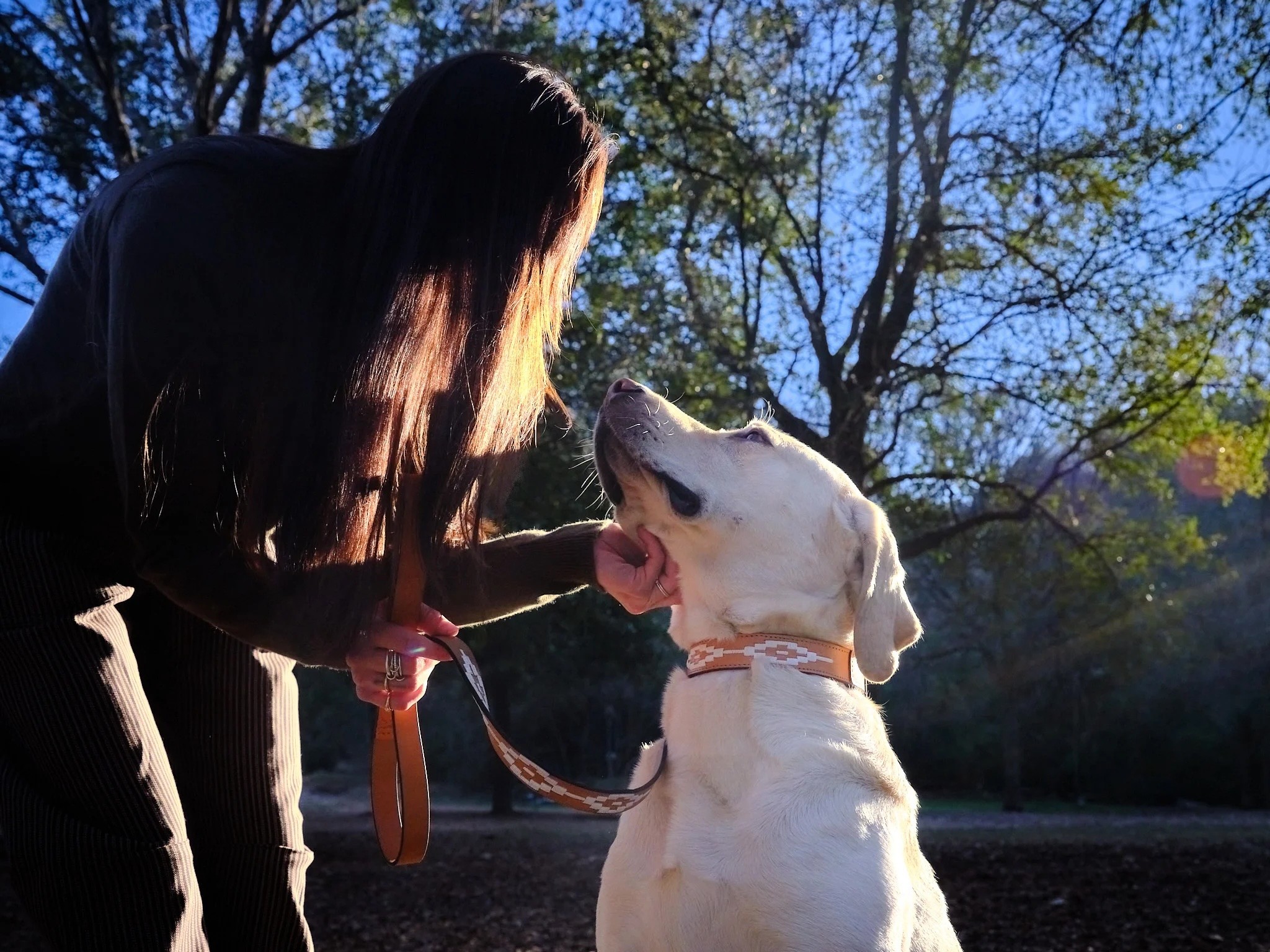 Zilker Belts - Rambler Dog Collar