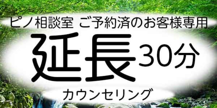 カウンセリング延長30分