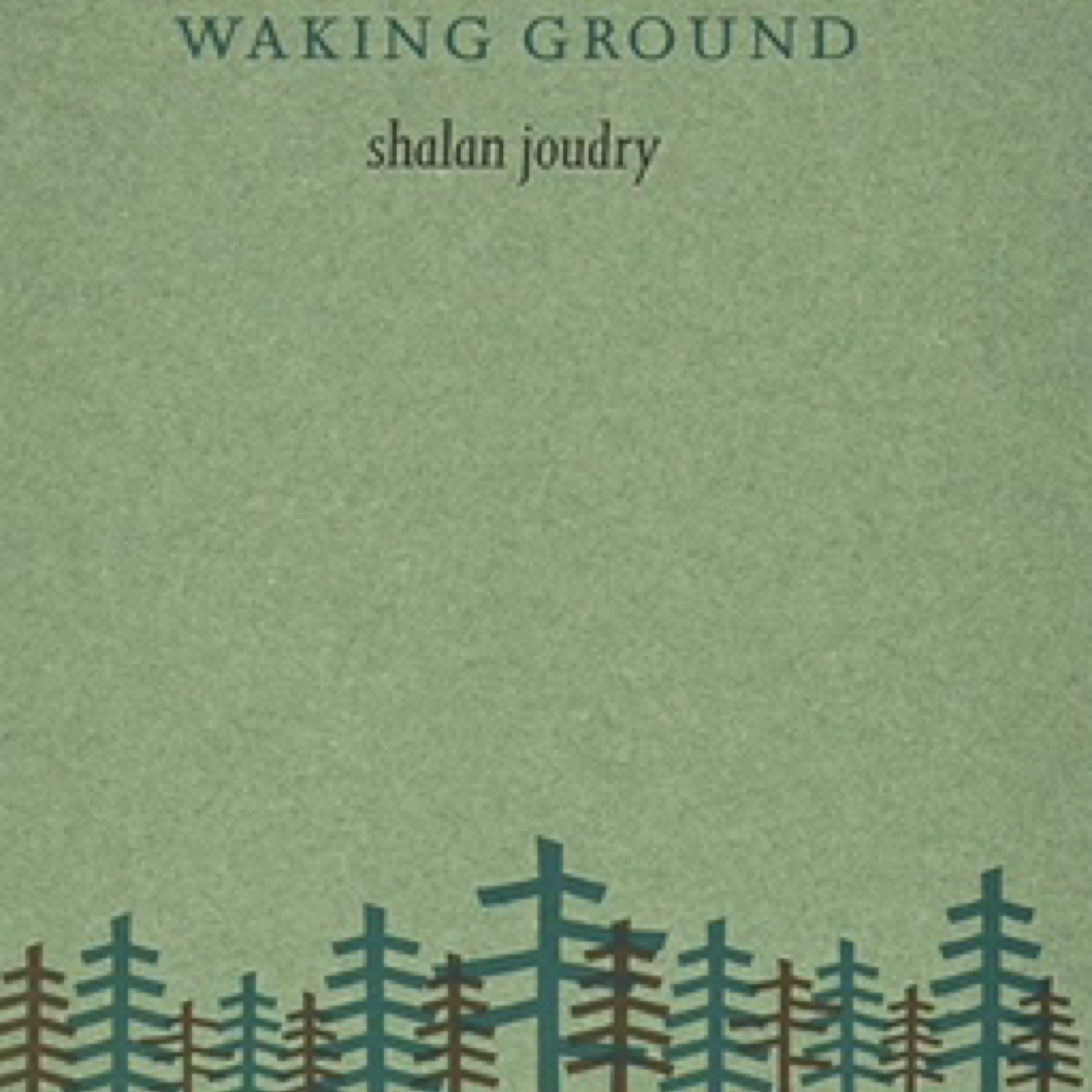 Waking Ground