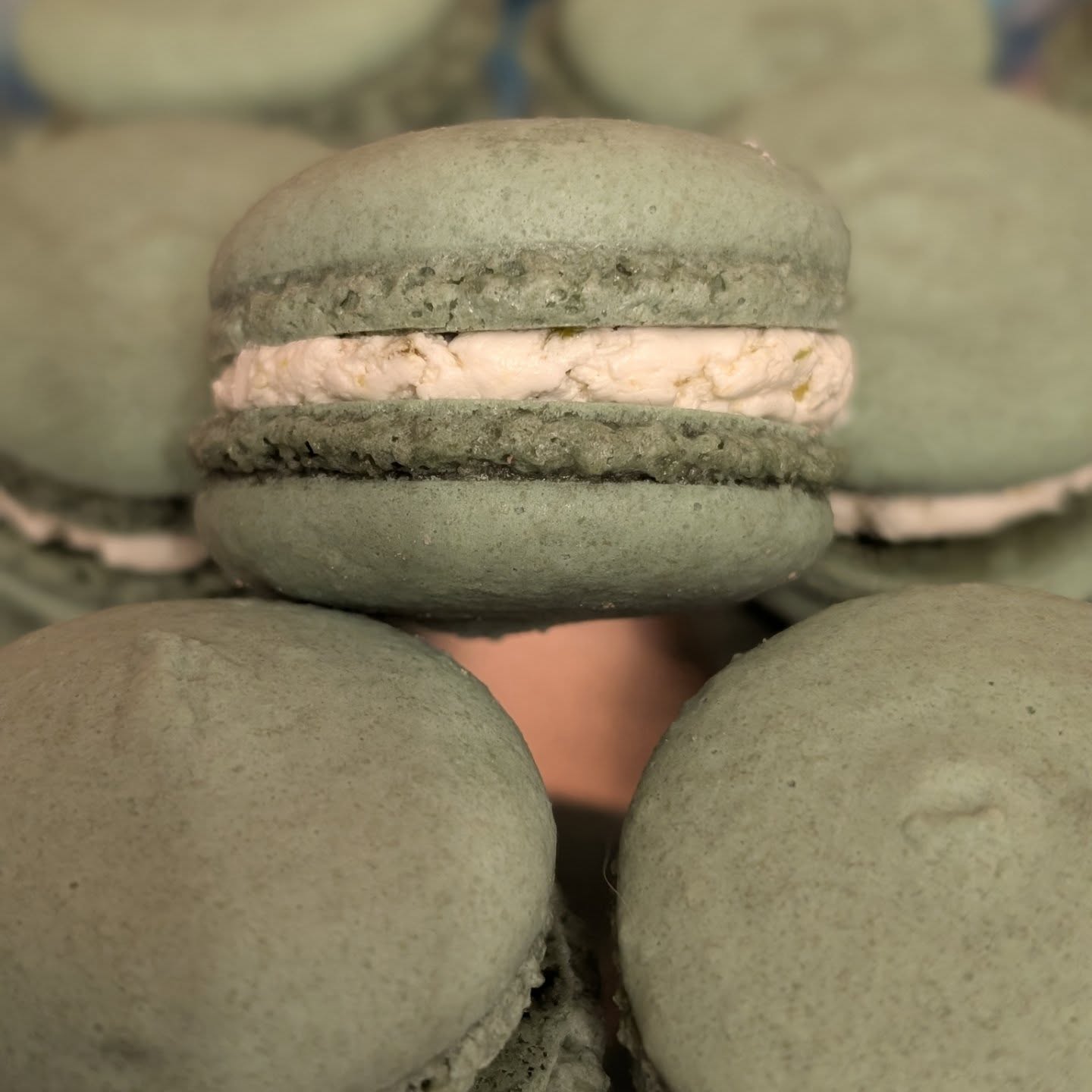 Photo of Macarons (6 Pack)