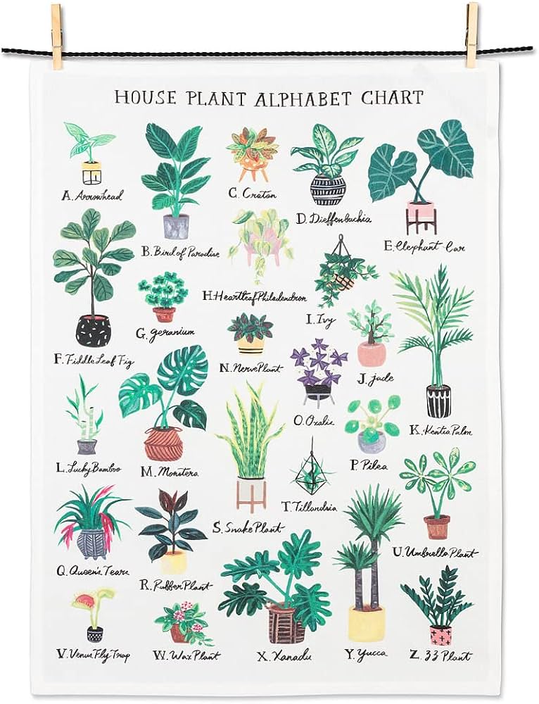 Tea Towel, Assorted 20x28"