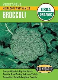 Heirloom Waltham 29 Broccoli Seed Pack, Organic