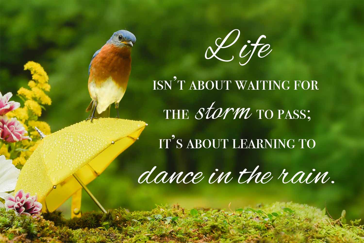 Dancing in the Rain