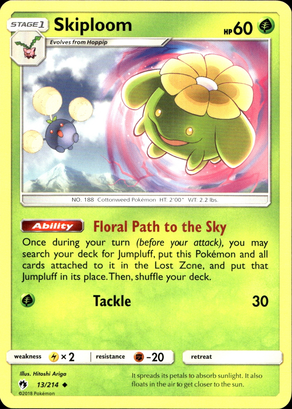 Skiploom - SM8 13