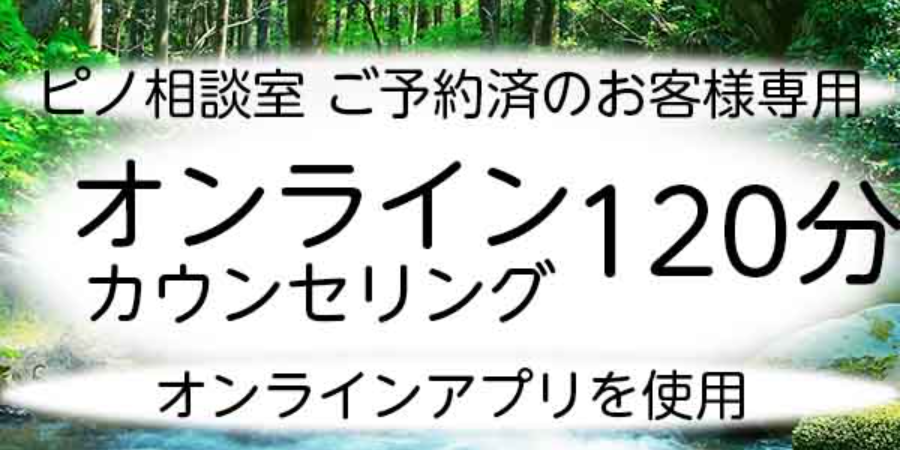 オンラインカウンセリング120分