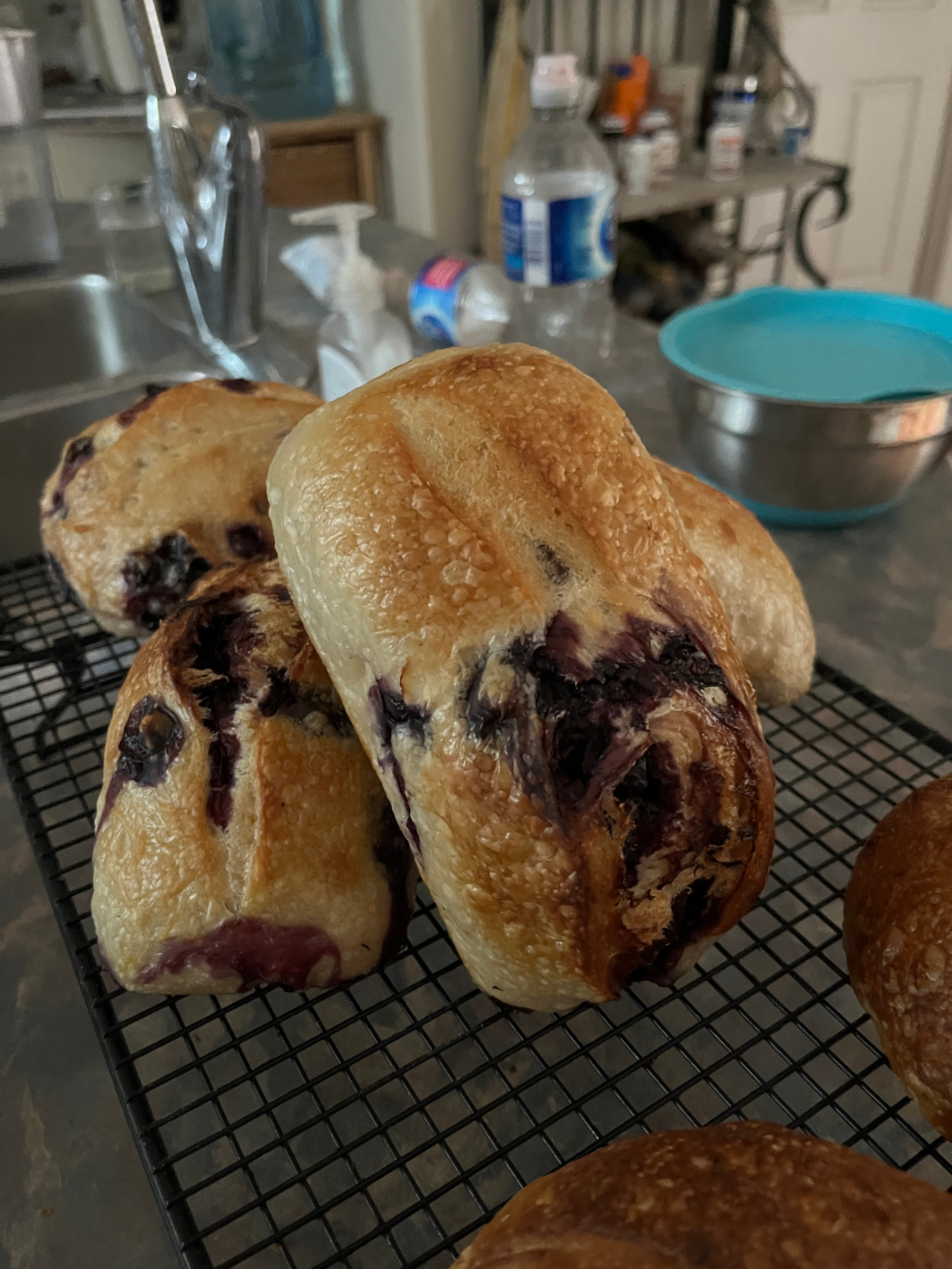 Photo of Sourdough Artisan Loaf - Blueberry Lemon - MINI