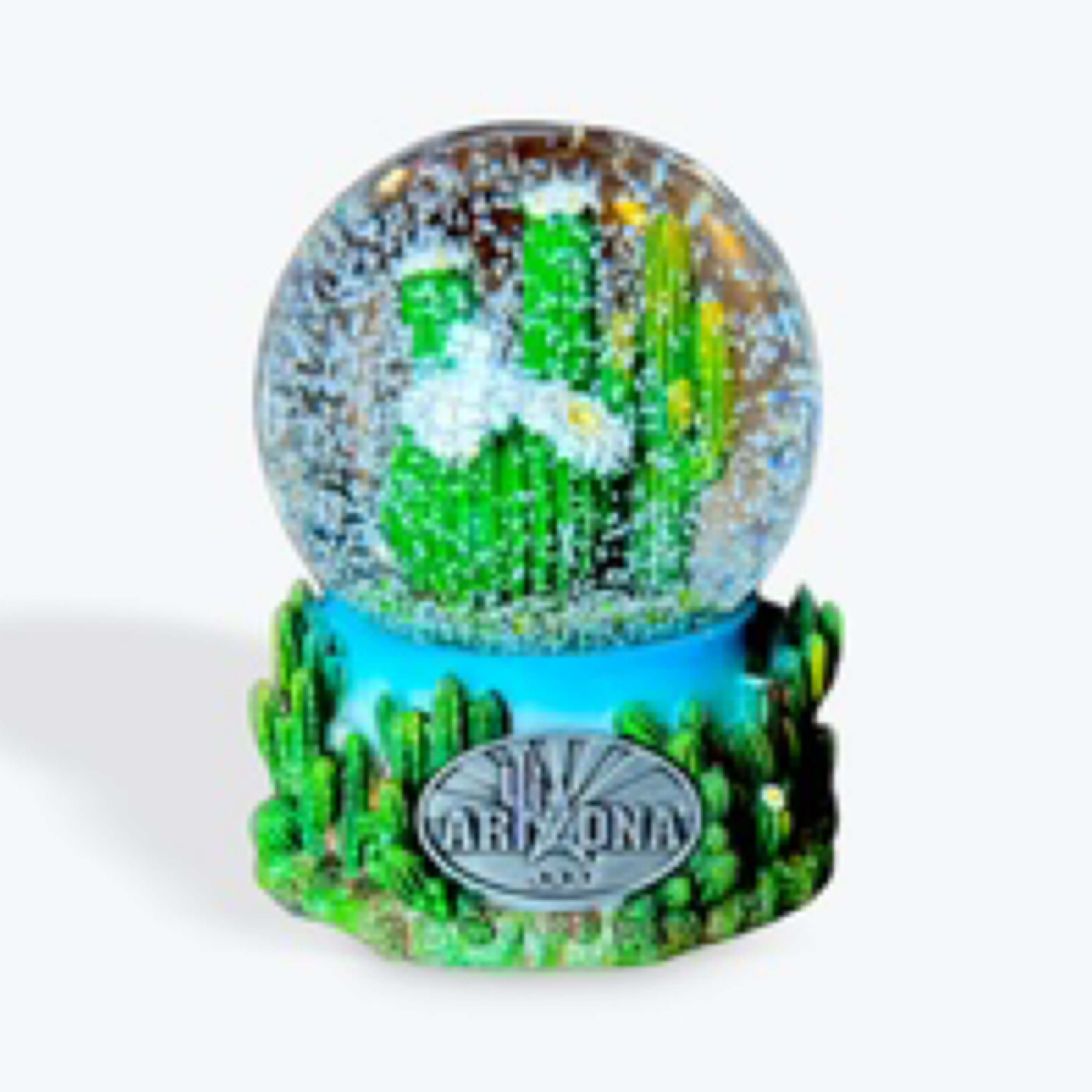 Cactus 65MM Water Globe