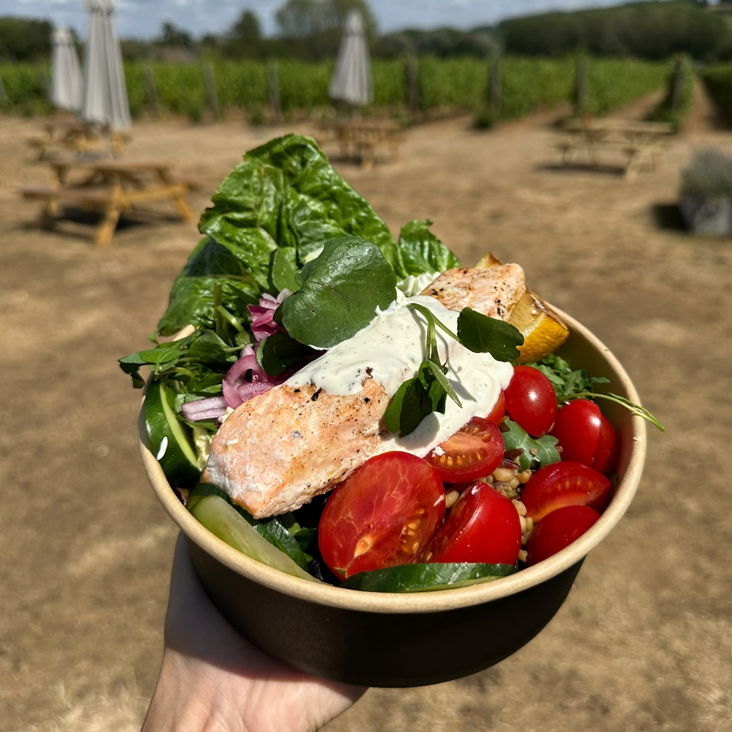 Poached Salmon, lemon and herb Salad