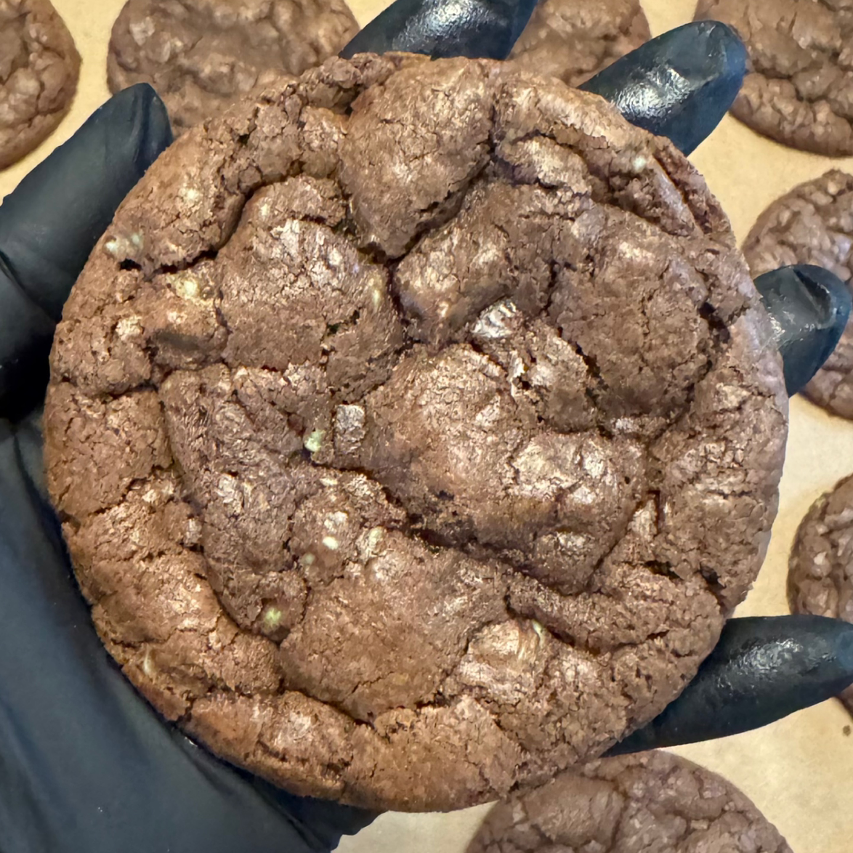 Photo of Chocolate Mint Chip