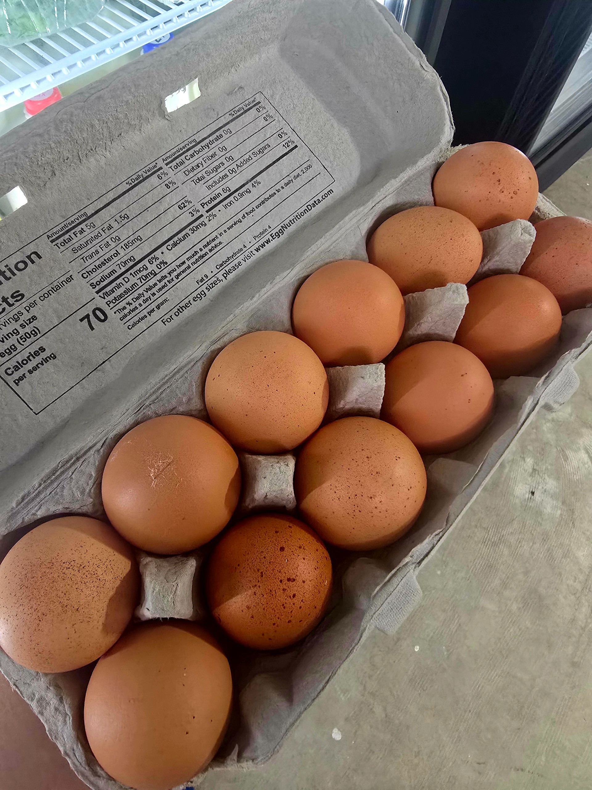 Eggs (1 dozen)