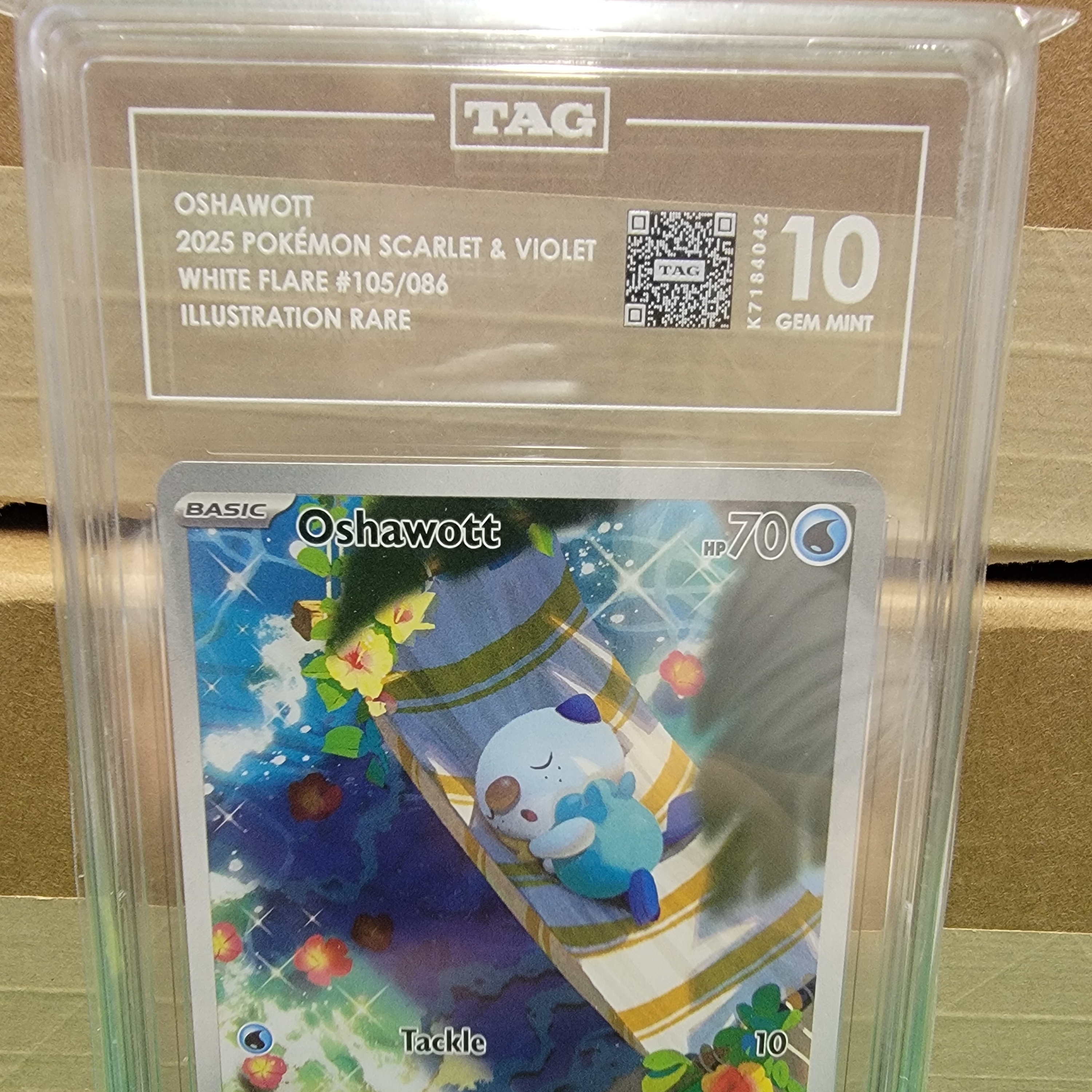 TAG 10 Oshawott Illustration Rare Graded Card