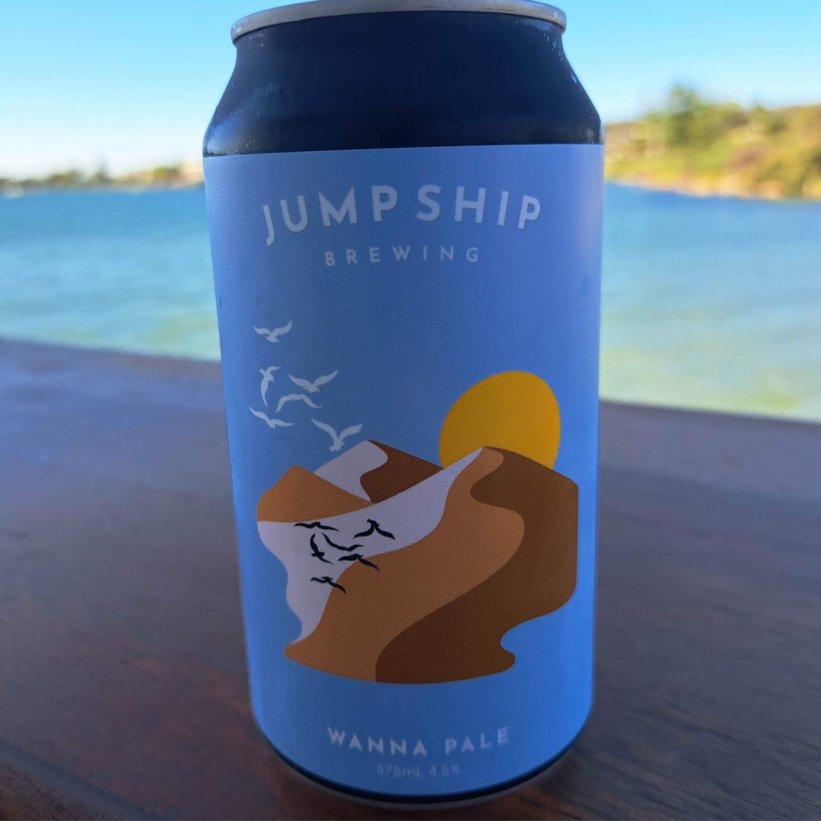 Wanna Pale - Jump Ship Brewing (Local Craft)