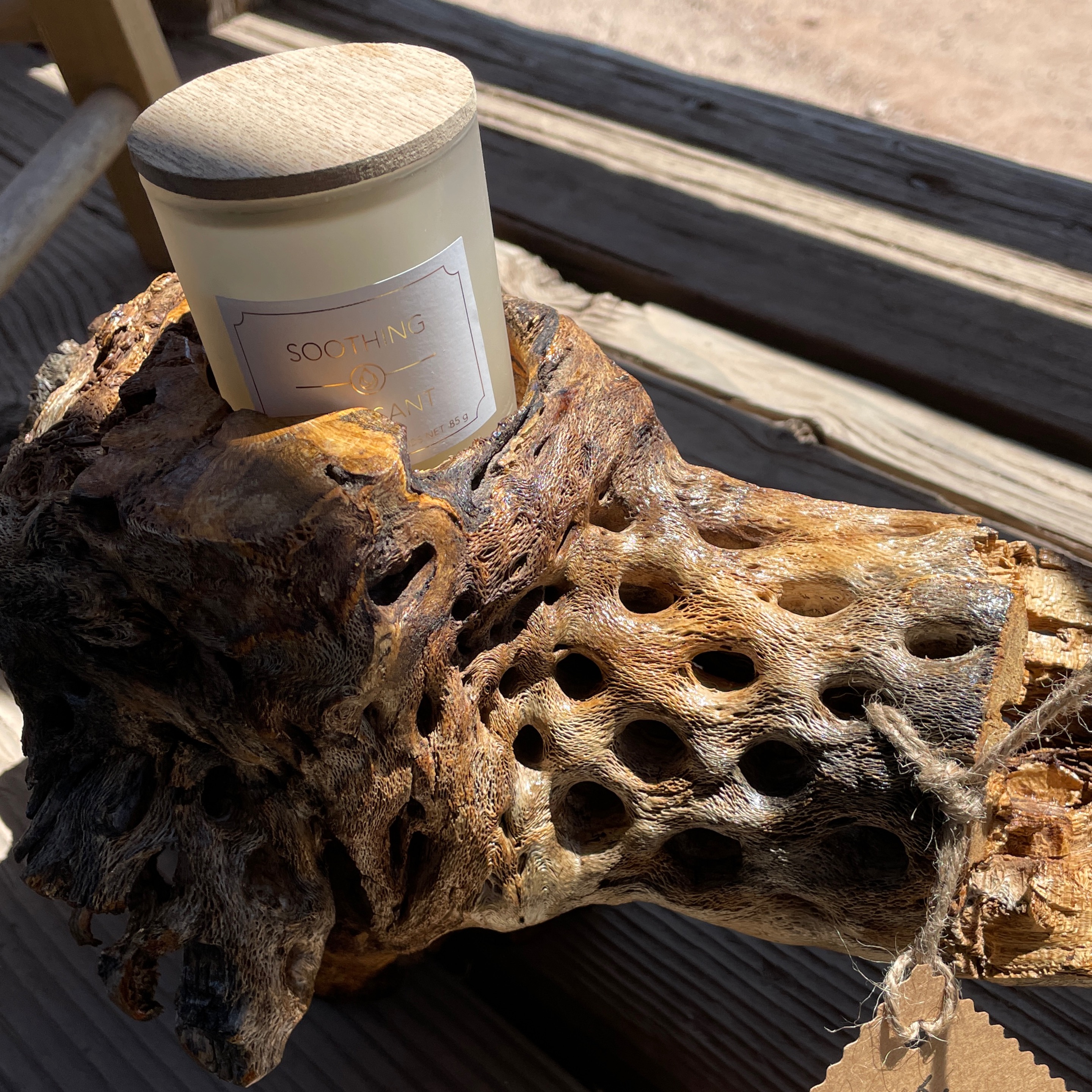 Cholla Cactus Candle Holder (Large)