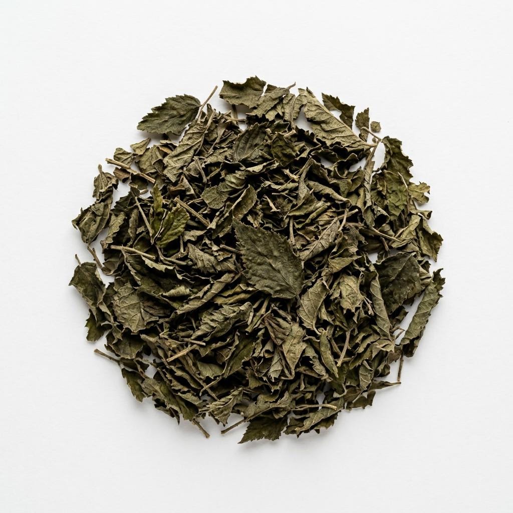 Blackberry Leaf