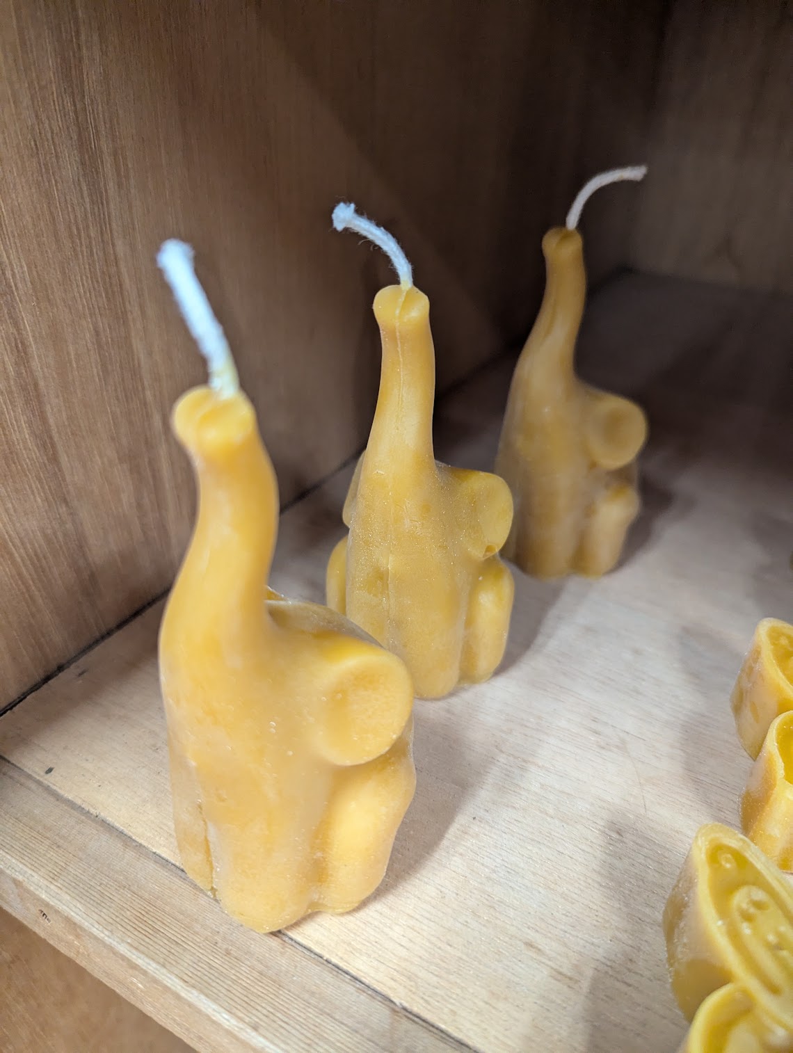 Anarchy Apiaries  |  Honey, Candles, Products - Assorted Bug Candles 2oz