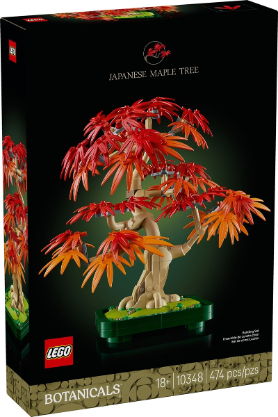 10348 Japanese Maple Tree