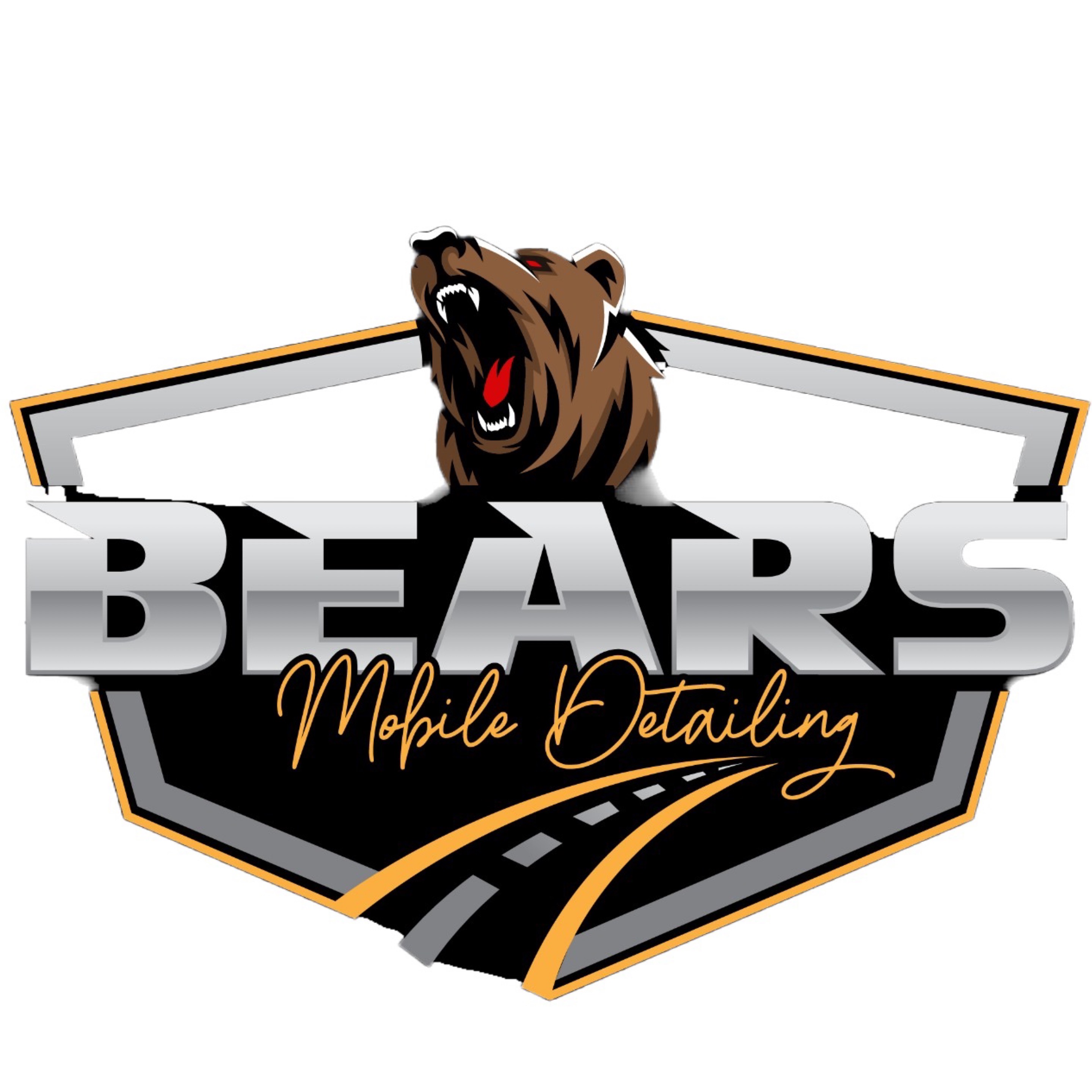 Bears Experience