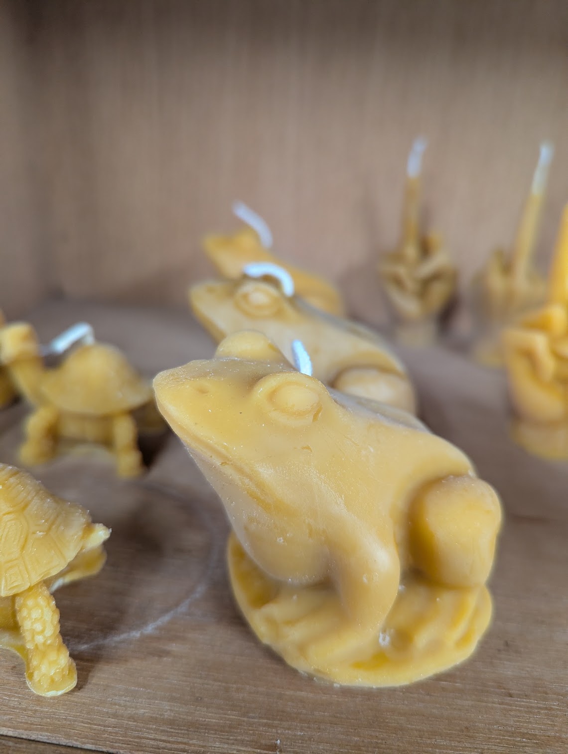 Anarchy Apiaries  |  Honey, Candles, Products - Frog Candles 4oz