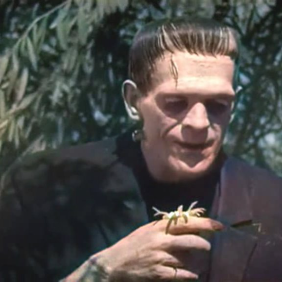Frankenstein (1931) in Color, Download.