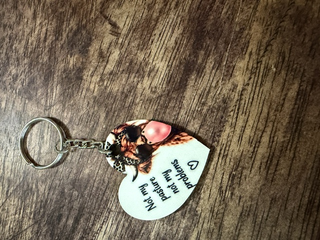Highland Cow Keychain — “Not My Pasture, Not My Problem”, Handmade Funny Gift