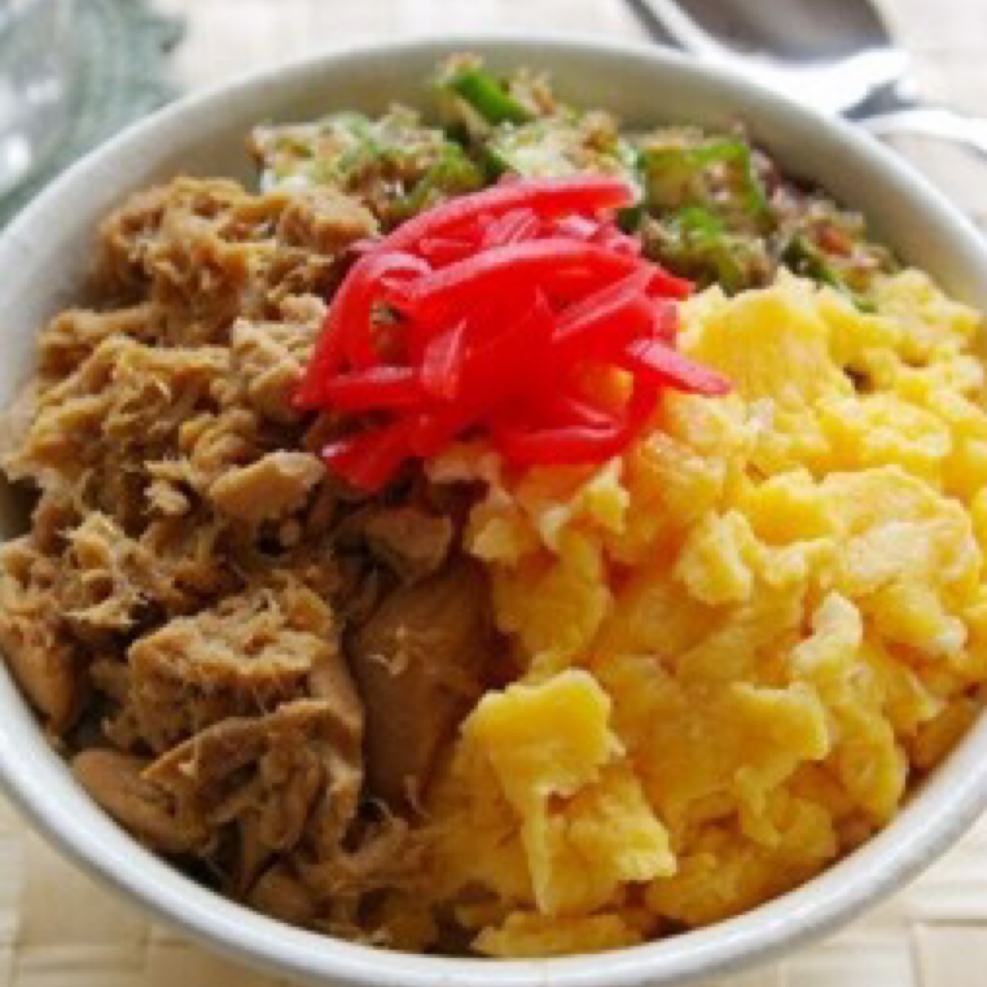 Tuna Soboro Don