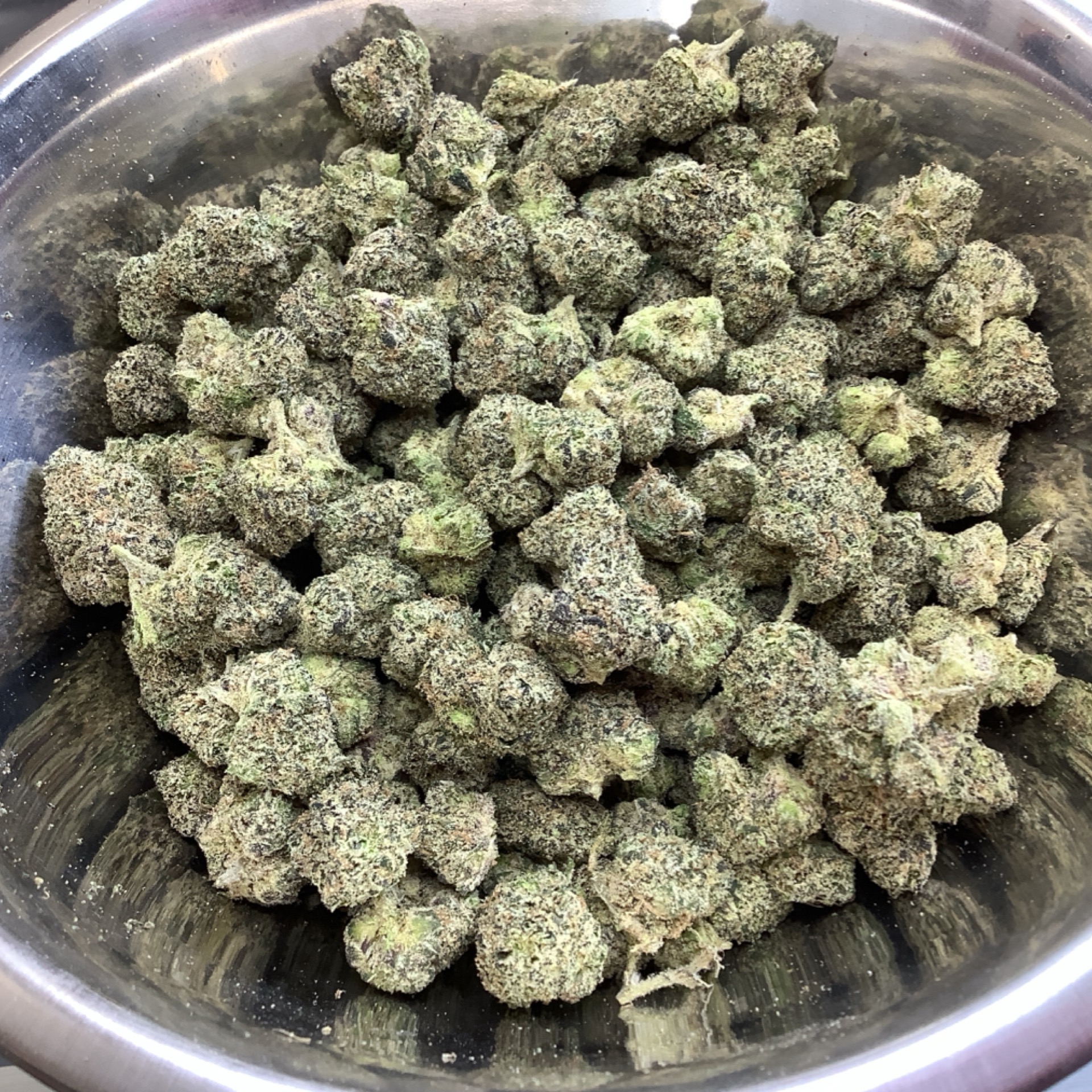 Champagne Gelato 19.48% THCA - Regular