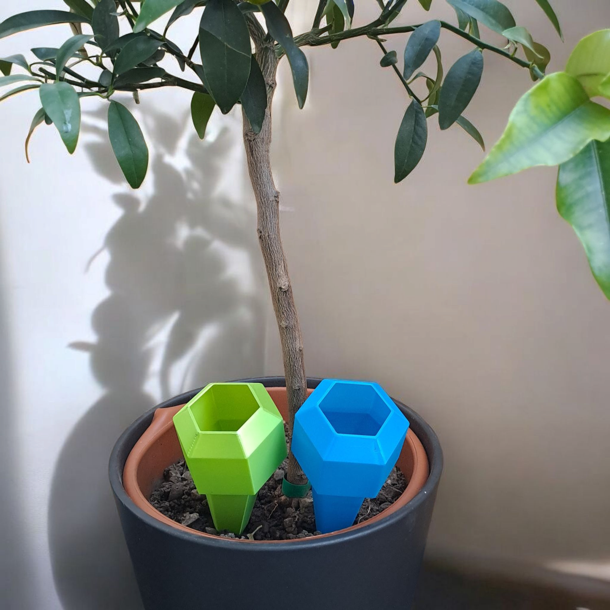 Hexagonal Watering Spike