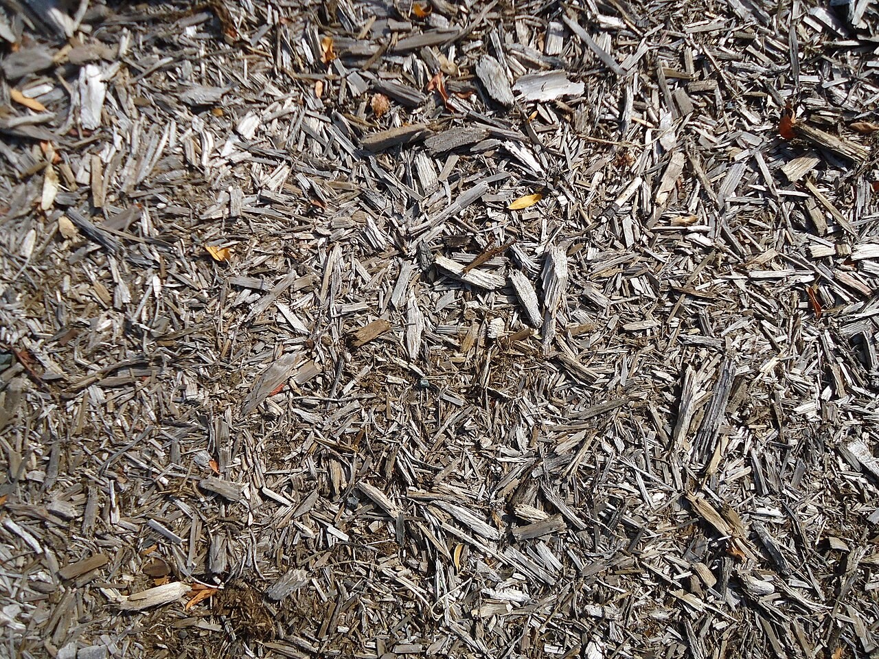 Brown Mulch