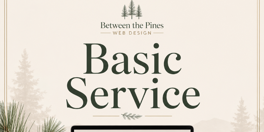 Basic Service payment graphic