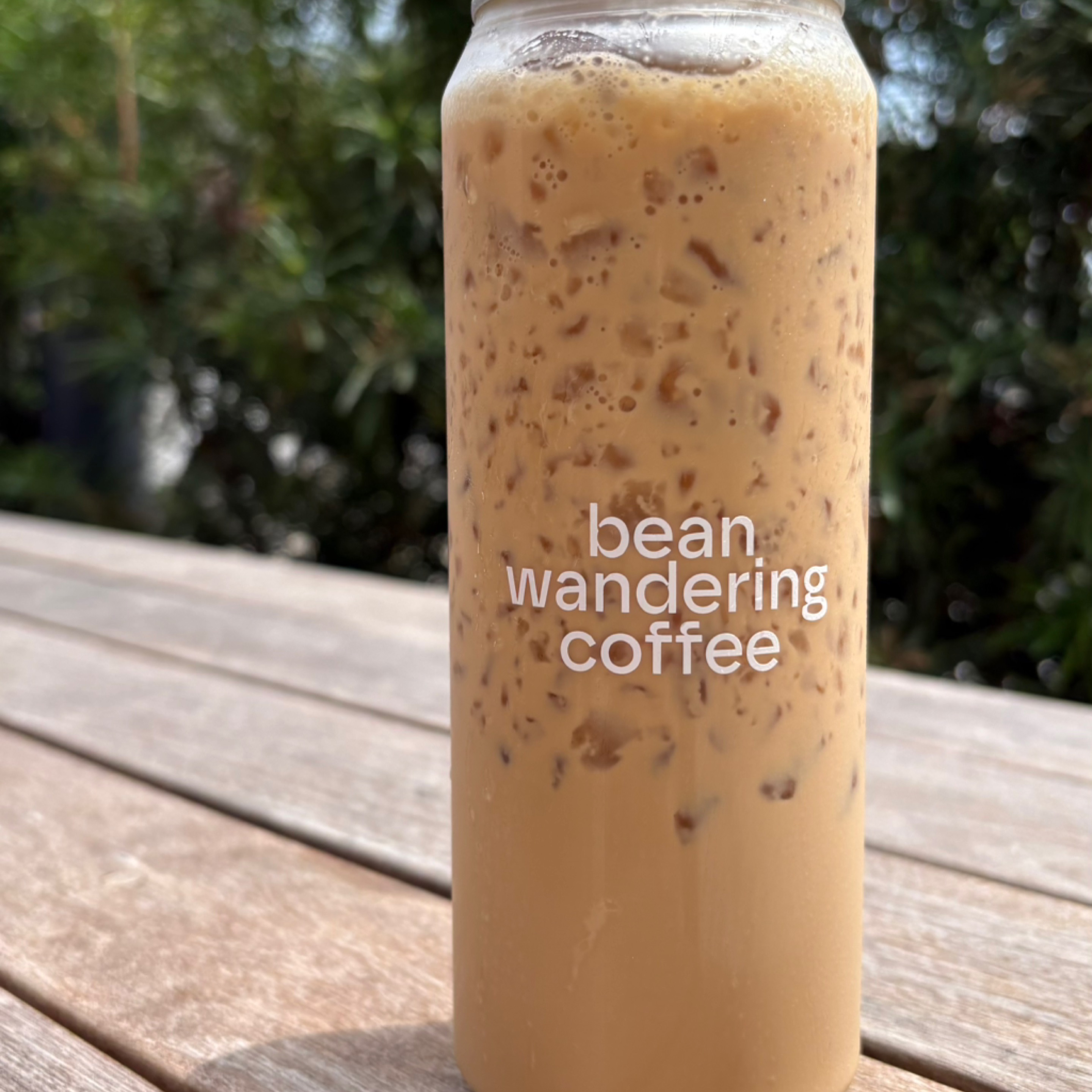 Iced Cappuccino
